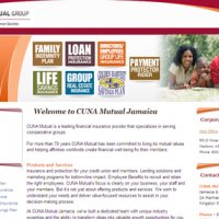 Website Portfolio Page 3